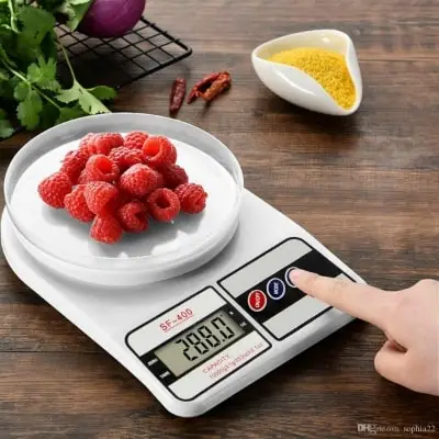 Digital Electronic Scale